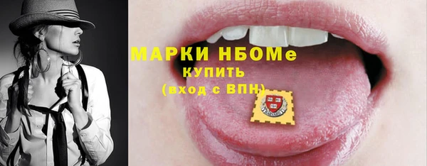 индика Арсеньев