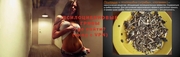 индика Арсеньев