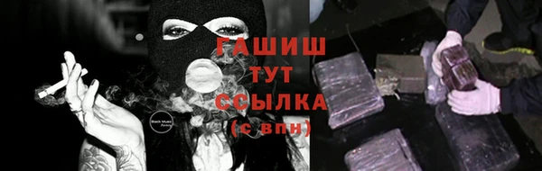 индика Арсеньев