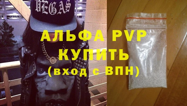 индика Арсеньев