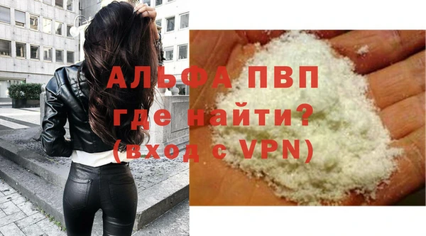 индика Арсеньев