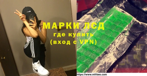индика Арсеньев
