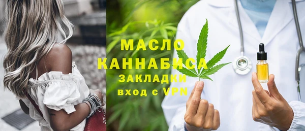 индика Арсеньев