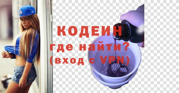 индика Арсеньев