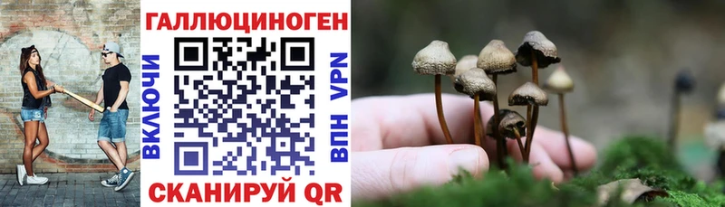 ссылка на мегу ТОР Долинск Псилоцибиновые грибы GOLDEN TEACHER